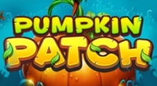 Pumpkin Patch Online Slot Nigeria