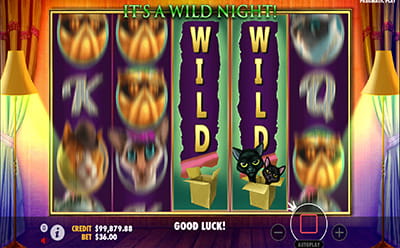 The Catfather Slot Mobile